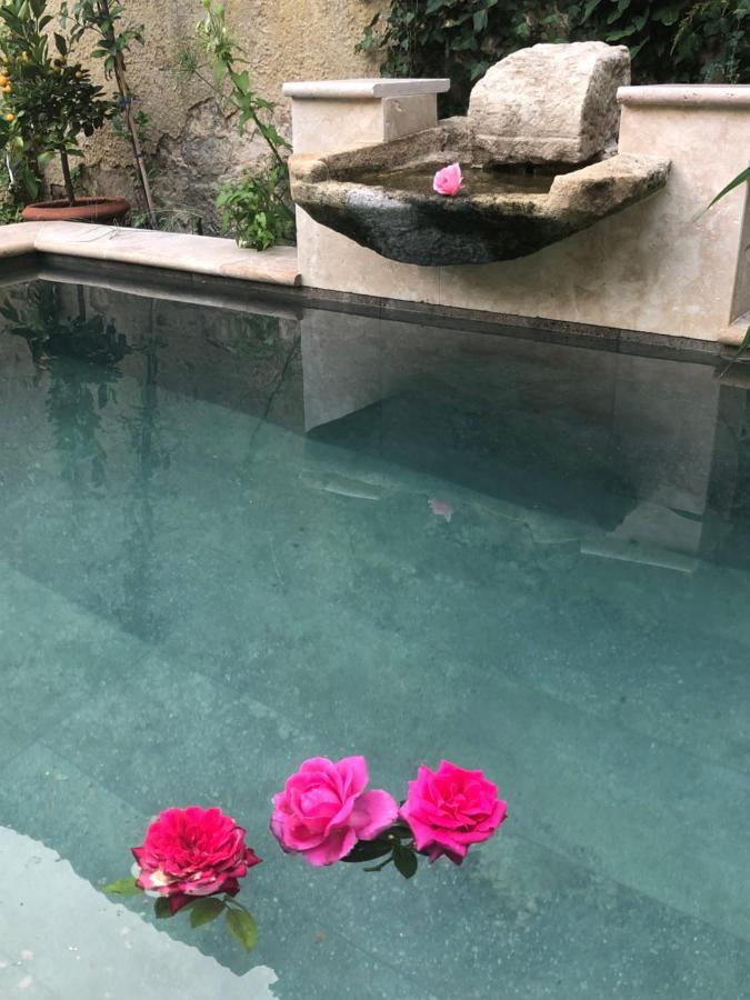 Le Clos De La Cathedrale Bazas Bagian luar foto