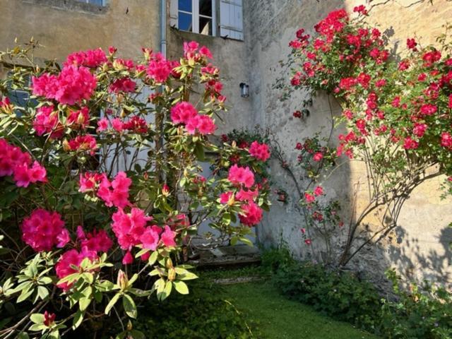 Le Clos De La Cathedrale Bazas Bagian luar foto