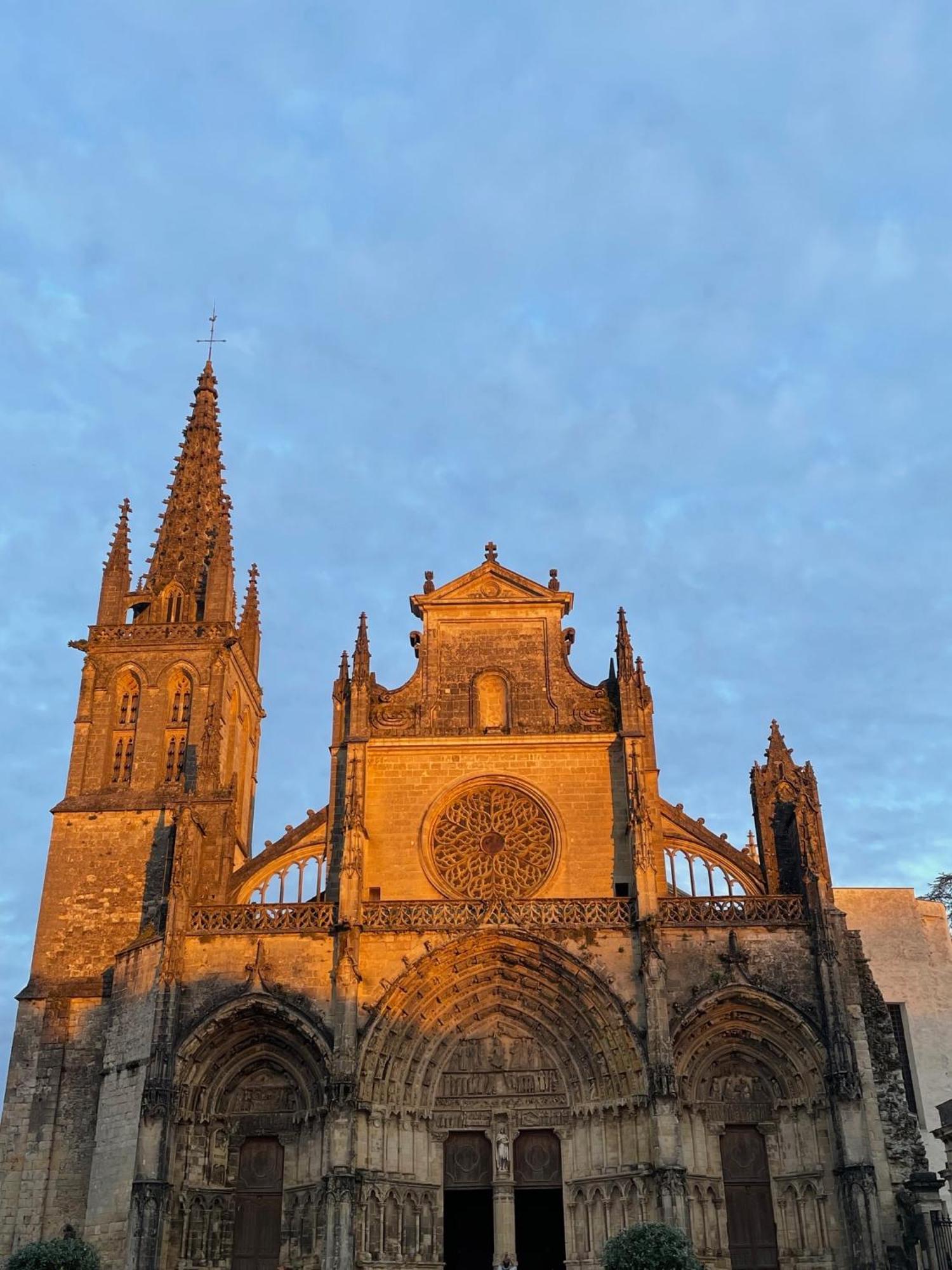 Le Clos De La Cathedrale Bazas Bagian luar foto